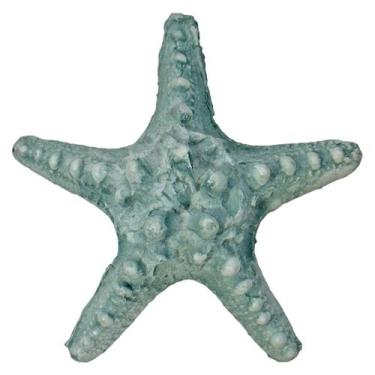 Imagem de Estrela Do Mar Resina P/ Pendurar Parede Pousada Praia Casa  - M3 Deco