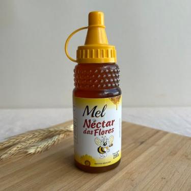 Imagem de Mel Bisnaga 280g Nectar das Flores