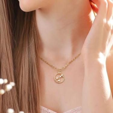 Imagem de Colares do zodíaco para mulheres, pingente de moeda banhado a ouro com joias de zircão, pingentes delicados de astrologia, horóscopo, pingente de aço inoxidável, presente personalizado de aniversário