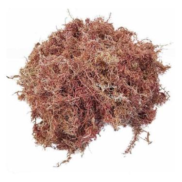 Imagem de Musgo Sphagnum 5 Litros Substrato Para Plantas E Orquídeas - Orquiflor