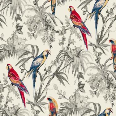 Imagem de Papel de Parede Vinilizado Arara DK-0249 - 68cm X 9,14M(  3%) - Casa D