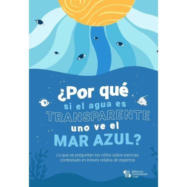 Imagem de ¿Por qué si el agua es transparente uno ve el mar azul? - Espanhol