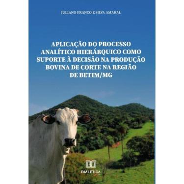 Imagem de Aplicação do processo analítico hierárquico como suporte à decisão na produção bovina de corte na re