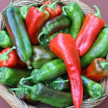 Imagem de Pimenta - Doce Italiana - 2,5gr De Sementes - Blueline