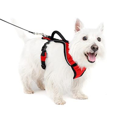 Imagem de PetSafe Peitoral para cães EasySport, peitoral para cães acolchoado ajustável com alça de controle e tubulação reflexiva, dos fabricantes do peitoral Easy Walk pequeno