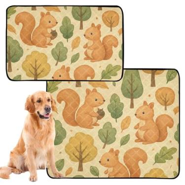 Imagem de Almofadas laváveis para animais de estimação, à prova d'água, antiderrapante, esquilos fofos, bege, reutilizável, almofada de xixi para gatos, absorventes de cães, treinamento de penico, pequeno x