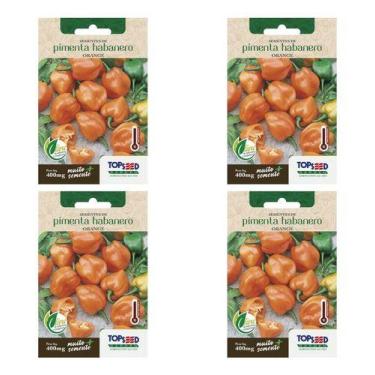 Imagem de Kit 4x Sementes Pimenta Habanero Orange Picante Ardida Horta - Topseed