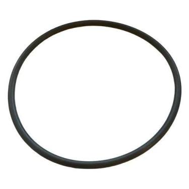 Imagem de Anel Oring Do Bracket Para Bombas Série F - Jacuzzi