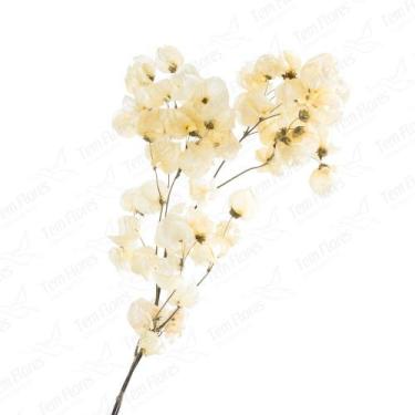 Imagem de Kit de 3 bougainville  - Flores Desidratadas - Florizinha Seca Arranjo