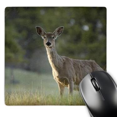 Imagem de Mule deer, Wyoming. EUA - US51 POX0010 - Pete Oxford - Mouse Pad, 8 x 8 polegadas (mp_97509_1)