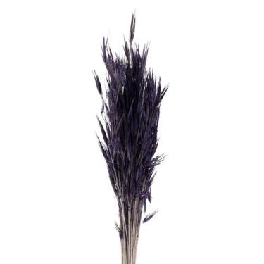 Imagem de Capim Trigão Roxo Desidratado - Tem Flores