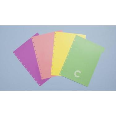 Imagem de Divisorias grande pastel com 4 unid - Caderno Inteligente