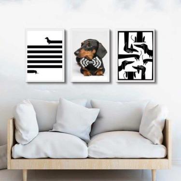 Imagem de Kit 3 Quadros Cão Raça Dachshund - Salsicha 33x24cm - com vidro - Quad
