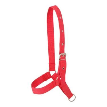 Imagem de Cabresto De Fita polipropileno Para Bezerro E Novilhas Reforçado Quali