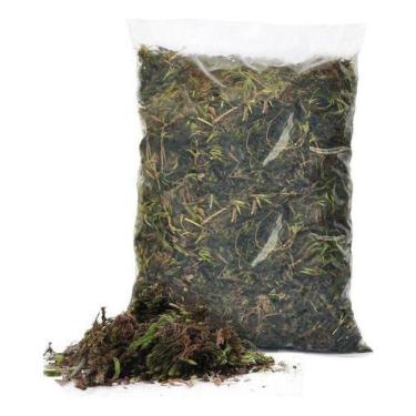 Imagem de Musgo Verde Esfagno Desidratado Orquídeas Terrário 50 Grs - VIVA FLORE