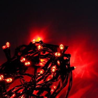 Imagem de Pisca pisca de led 50 lâmpadas 5 metros fio verde - bazar do saara, VE