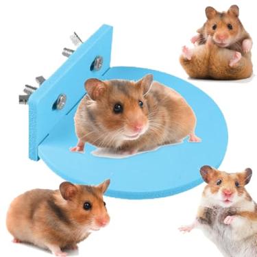 Imagem de Estação de hamster, acessórios de hamster para gaiolas - Suprimentos de habitat de brinquedo antiderrapante para animais de estimação, chinchila, área de brincadeiras de animais pequenos e acessórios