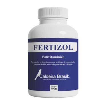 Imagem de Fertizol Polivitaminico - 100g - Caldeira Brasil