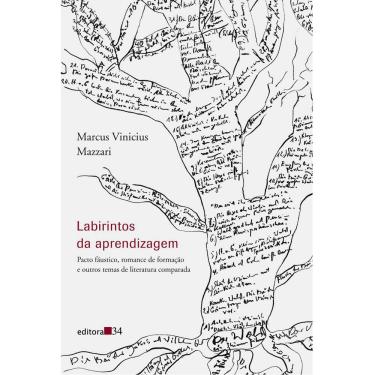 Imagem de Livro - Labirintos da Aprendizagem: Pacto Fáustico, Romance de Formação e Outros Temas de Literatura