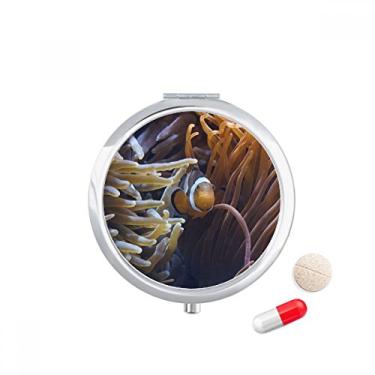 Imagem de Caixa de comprimidos natural Ocean Anêmona Fish Coral Science Pocket Medicine Storage Box Dispenser recipiente