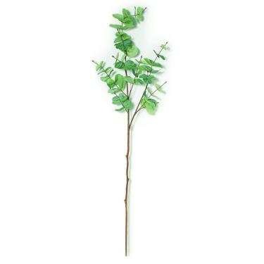 Imagem de Planta Permanente Eucalipto - Mart