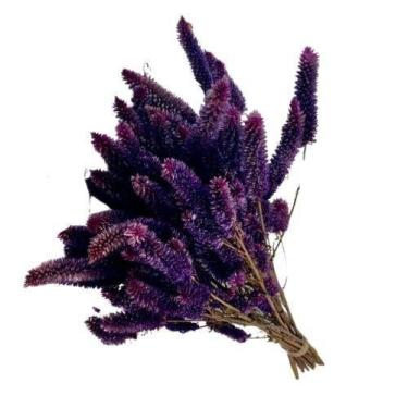 Imagem de Buque Maço Celosia Rabo de Gato  - Flores Desidratadas - Pratico Desid