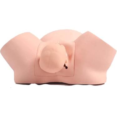 Imagem de Simulador De Treinamento De Modelo De Parto, Obstetrícia Ginecologia Entrega Maternidade Mikin Para Ensino De Treinamento Médico De Enfermagem
