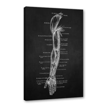 Imagem de Fundo preto anatomia humana arte médica impressões em tela imagens esqueleto músculo pôster vintage educação pintura arte decoração de parede (SKU3,20.3x30.5 cm = (20x30cm), emoldurado (tela embalada