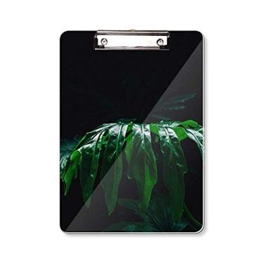 Imagem de Fotografia folhas de planta imagem natureza prancheta pasta bloco de escrita placa de apoio A4