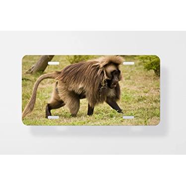 Imagem de Capa para placa de carro Gelada Baboon – Capa para placa de carro – Capa para placa de carro 15 x 30 cm