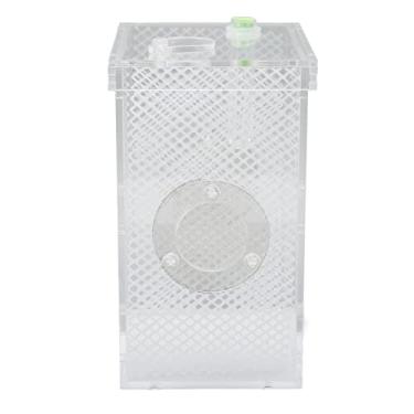 Imagem de Caixa de Criação de Insetos Répteis, Gabinete de Insetos Répteis Durável Tanque Hidratante Acrílico de Alta Transparência Mini para Aranha para Invertebrados para Tarântula (L)