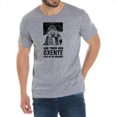 Imagem de Camiseta Cinza Nao troco meu oxente por OK - Alearts, GG