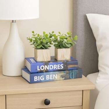 Imagem de Kit Livros Decorativos Mesa de Centro+Vasos Vidro c/Planta