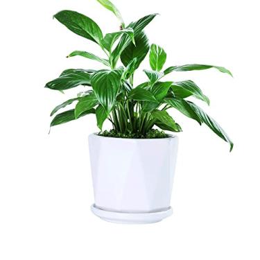 Imagem de uhyOHF Vasos de cerâmica simples e criativos, vaso de flores, bonsai, recipientes de cacto, vaso de jardim, decorativo, moderno, com orifício de drenagem e bandeja para todas as casas(