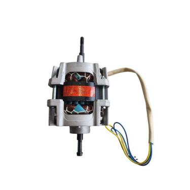 Imagem de Motor Secadora Wanke SWSA120P 220V Original
