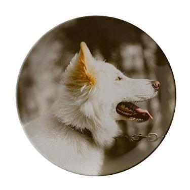 Imagem de Prato de foto de animal de estimação branco decorativo de porcelana Salver louças de jantar