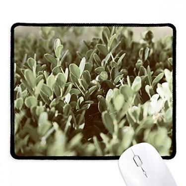 Imagem de Tapete de borracha para jogos Sunshine Leaves Plant Picture Nature Mousepad com borda costurada