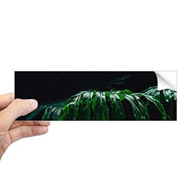 Imagem de DIYthinker Fotografia folhas de planta, imagem de natureza retangular, para-choque, adesivo, notebook, janela decalque