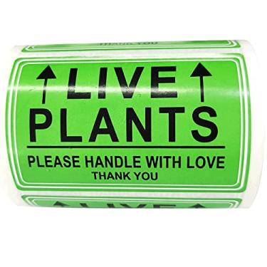Imagem de Live Plants Please Handle with Love Adesivos 5 x 7 cm - Adesivos verdes de plantas vivas para envio Manuseio frágil Armazém de envio Adesivos de paletes 250 etiquetas adesivas