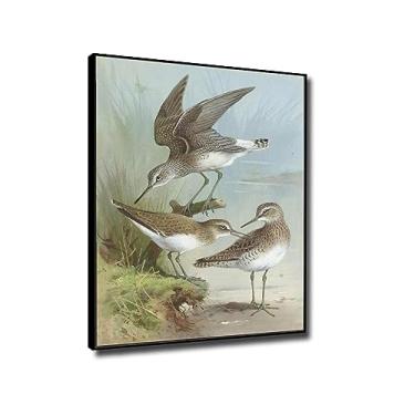 Imagem de JZSDGB Reproduções de arte de parede de pinturas famosas sandpipers por Archibald Thorburn Giclee impressões em tela - arte de parede em tela de pássaro imagem animal para decoração de quarto 30 x 42