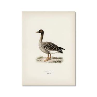 Imagem de Impressão de pato vintage rústico Pato Pato Pato Lago pôster de arte de parede retrô natureza pintura em tela imagens decoração de quarto de fazenda (SKU12,8x30,5 cm = (20 x 30 cm), sem moldura)