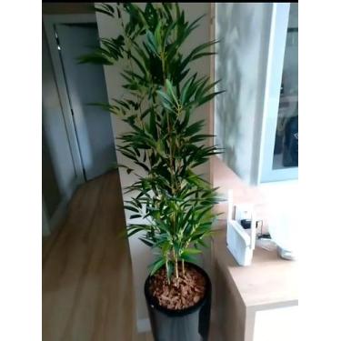 Imagem de Planta artificial bambu 4 hastes 1 mt/sem o vaso - Toke verde