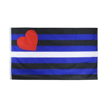 Imagem de Flaglink Bandeira de orgulho de couro 9,5 x 1,5 m - Faixa LGBTQIA Assexualidade Gênero Arco-íris