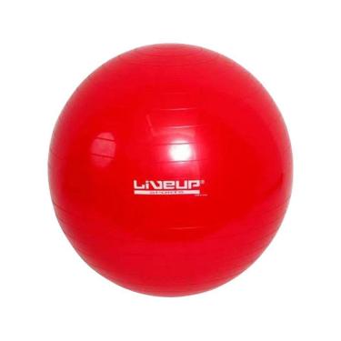 Imagem de Bola Suíça Pilates Yoga Ginastica 45 Cm + Dvd