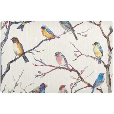 Imagem de TSENQUE Tapete de porta personalizado com pássaros coloridos empoleirados para entrada interna à prova d'água tapete de boas-vindas tapete absorvente antiderrapante para casa lavável 81 cm x 50 cm