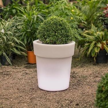 Imagem de Cachepô de Plantas Standing Led - Desembrulha