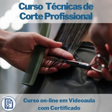 Imagem de Curso on-line em videoaula Técnicas de Corte Profissional com Certificado
