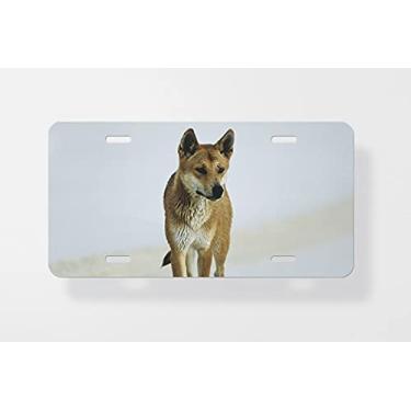 Imagem de Capa para placa de carro Dingo australiano na praia – Capa para placa de carro – Capa para placa de carro 15 x 30 cm
