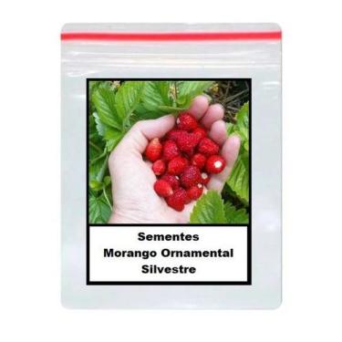 Imagem de 50 Sementes de Morango Ornamental - SEEDS