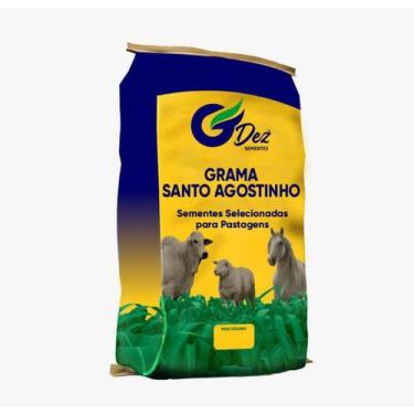 Imagem de Semente Grama Santo Agostinho 1 kg - SEEDS